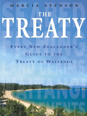 cover image of The Treaty